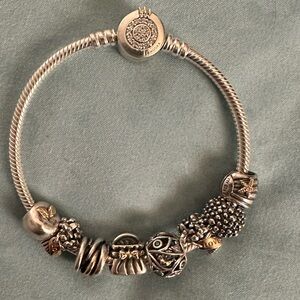 Pandora Charm Bracelet
